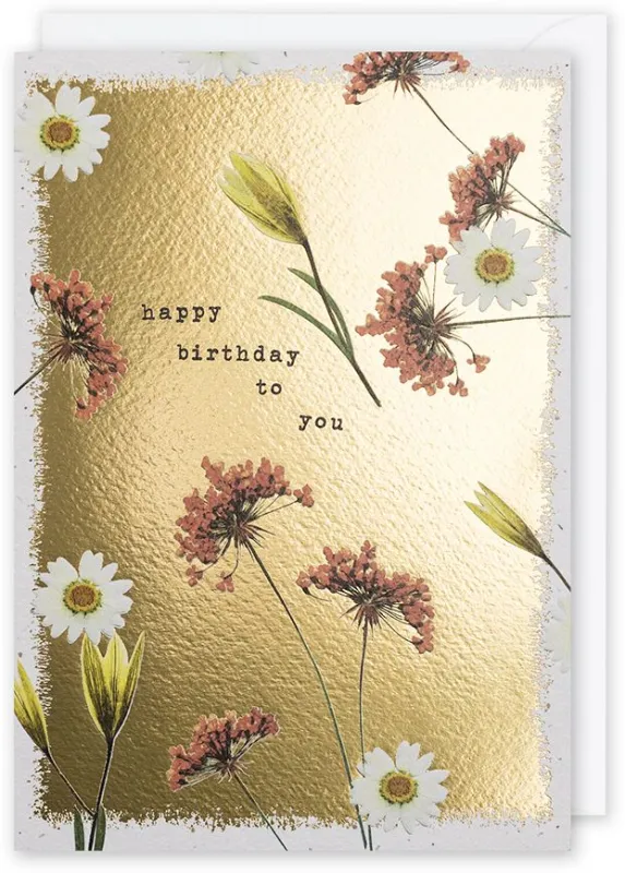 Pressed Daisies Birthday Card sold by Paper Source