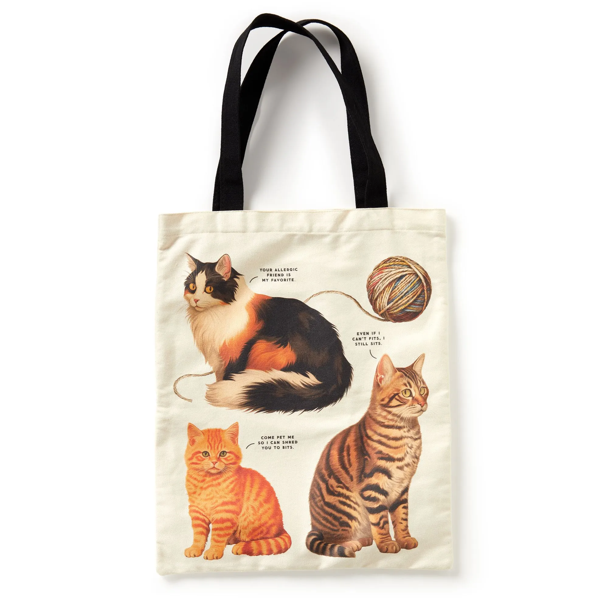 Moody Cats Canvas Tote sold by Paper Source