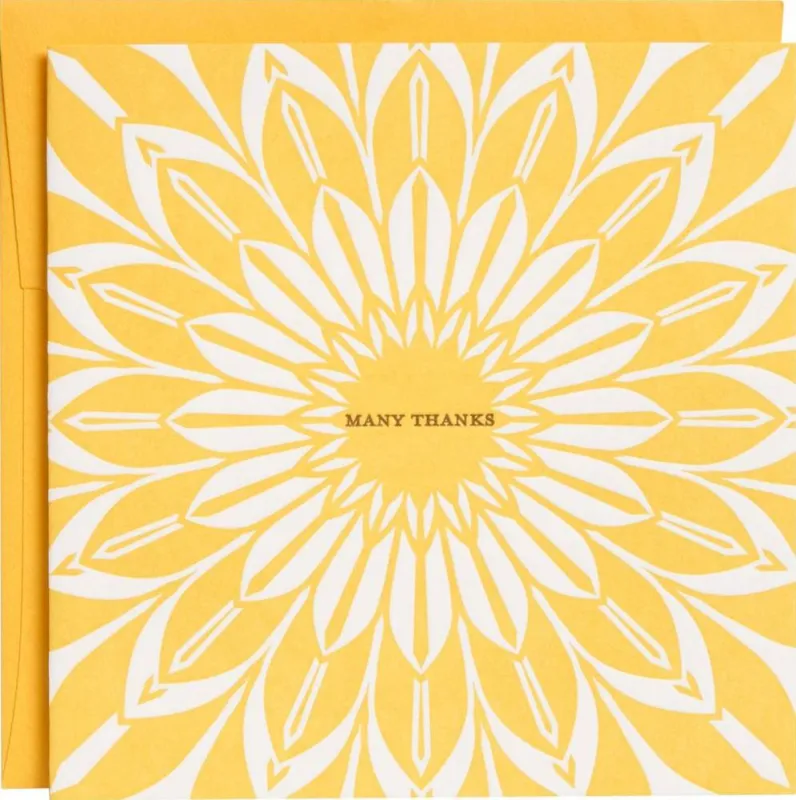 Sunburst Letterpress Thank You Card sold by Paper Source