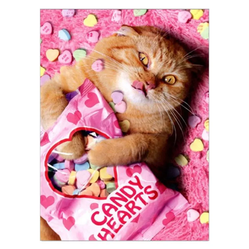Sweetheart Cat Valentine's Day Greeting Card sold by Paper Source