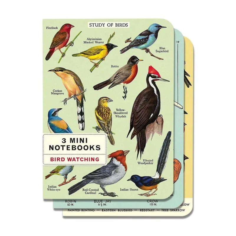 Cavallini & Co. Bird Watching Mini Notebooks sold by Paper Source
