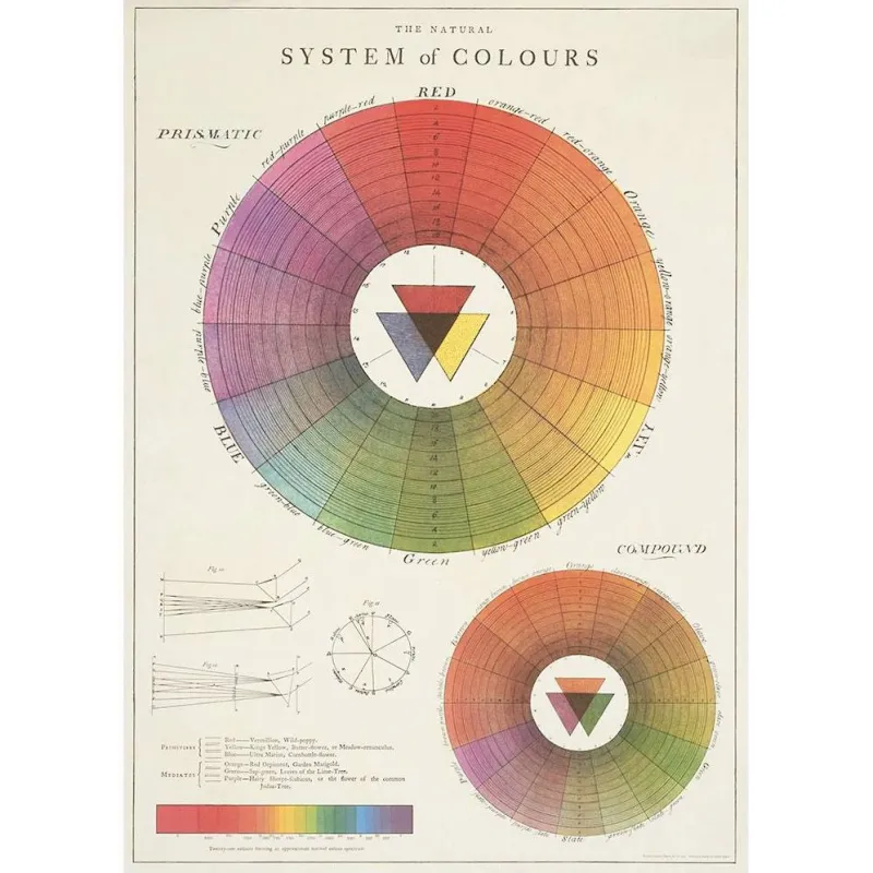 Color Wheel Flat Wrap sold by Paper Source