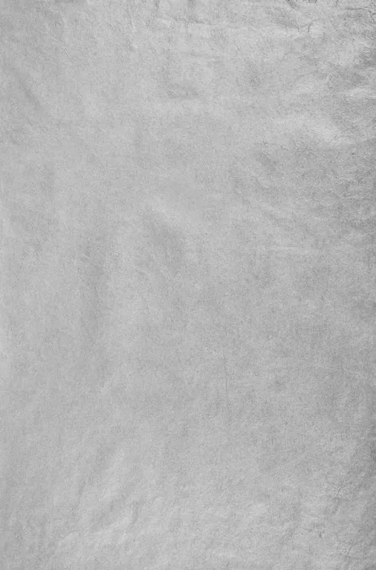 Lokta Metallic Silver Handmade Paper sold by Paper Source