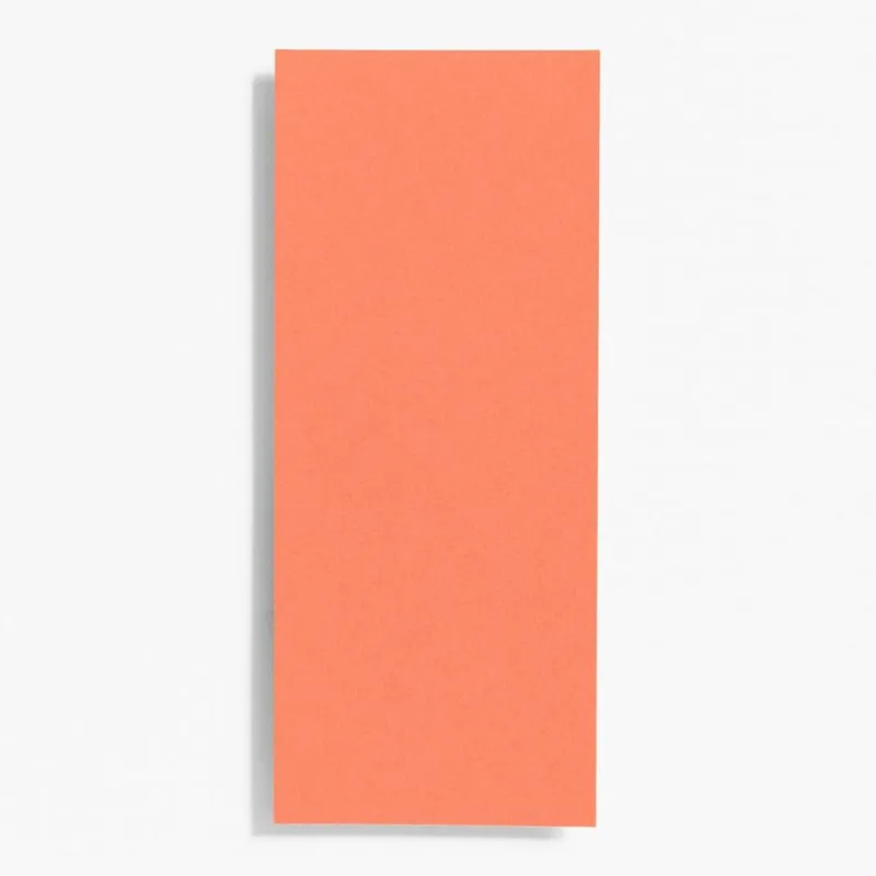 #10 Papaya Note Cards sold by Paper Source