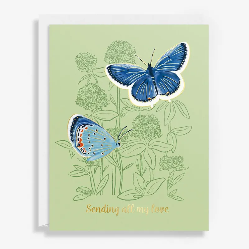 Butterfly Love Sympathy Card sold by Paper Source