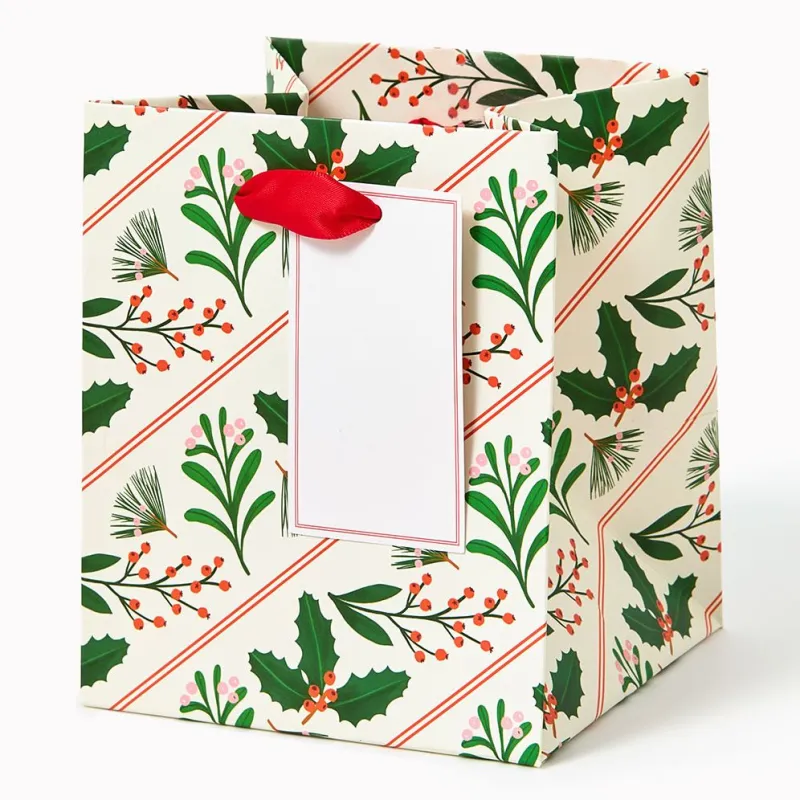 Botanical Stripes Small Square Gift Bag made by Paper Source