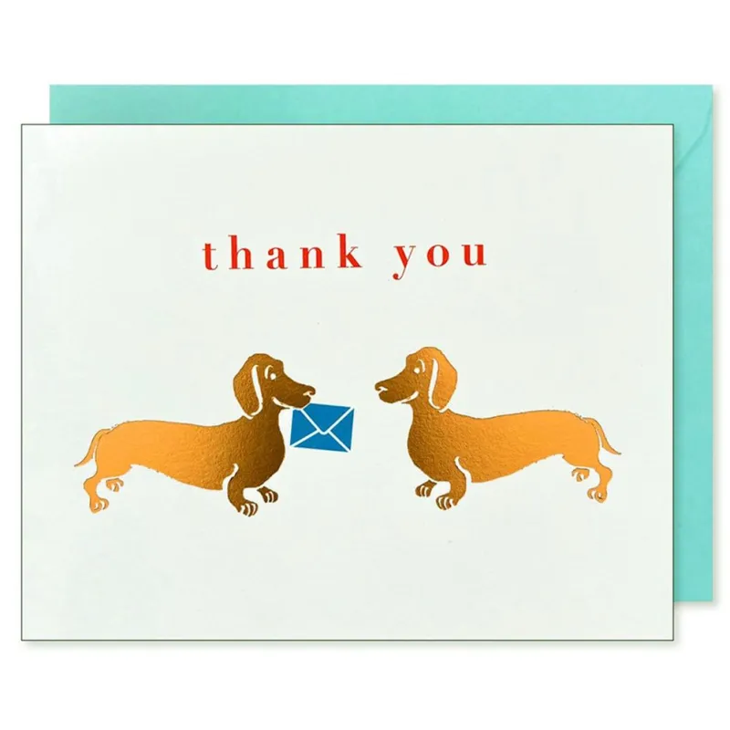 Dachshunds Thank You Card made by Paper Source
