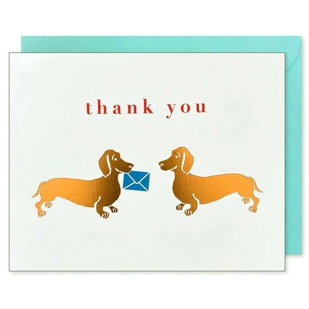 Dachshunds Thank You Card sold by Paper Source