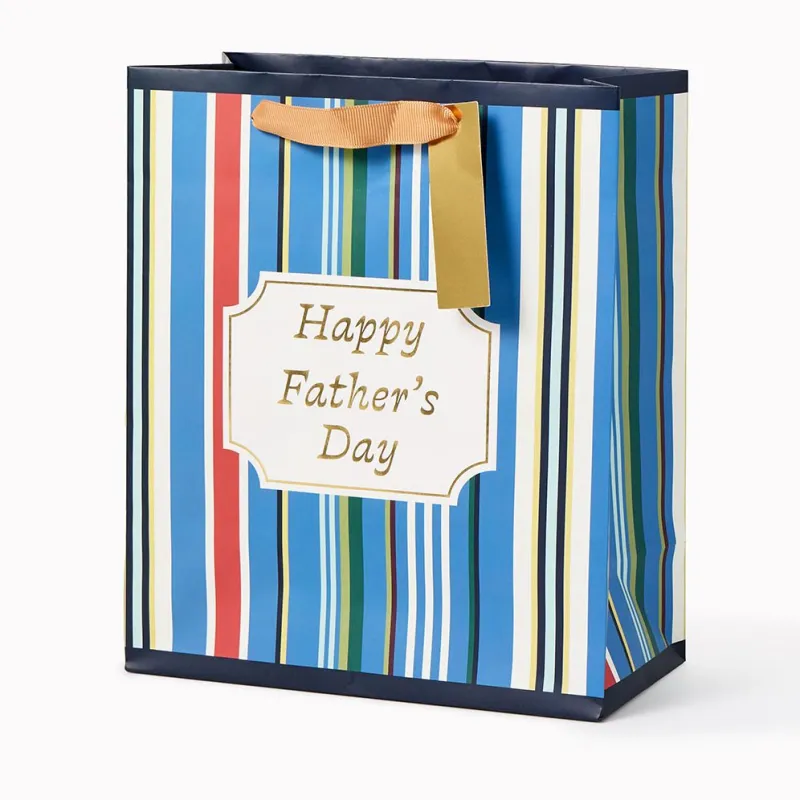 Father's Day Stripes Medium Gift Bag made by Paper Source