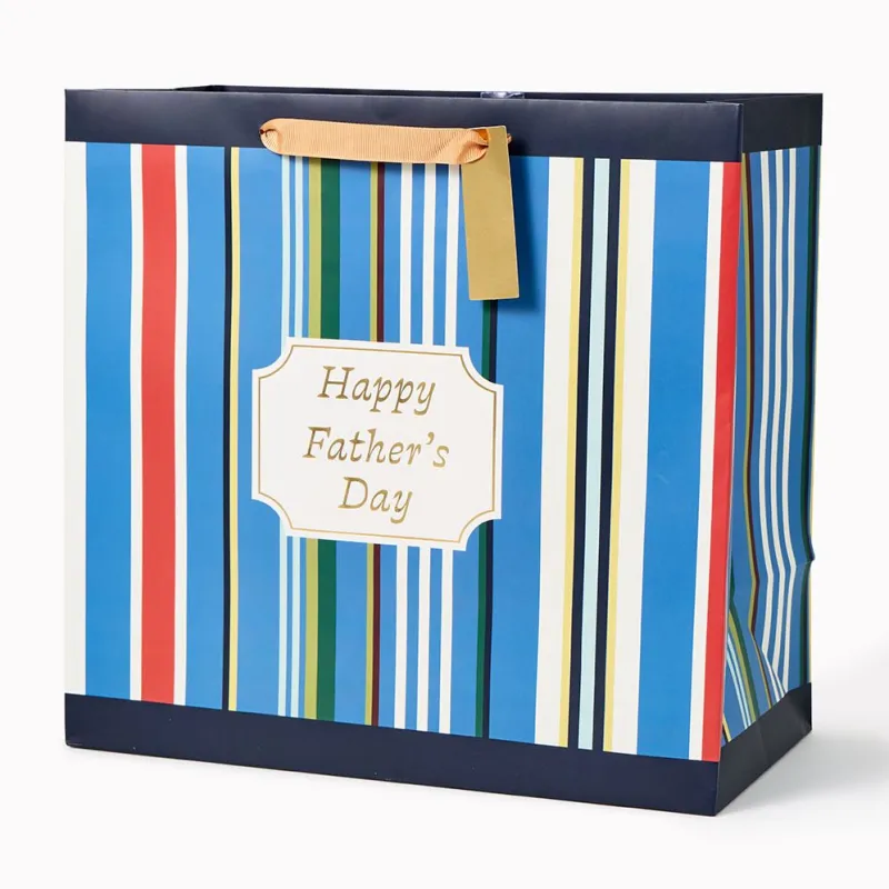 Father's Day Stripes Large Gift Bag made by Paper Source