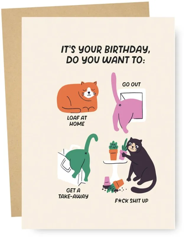 Cat Plans Birthday Card made by Paper Source