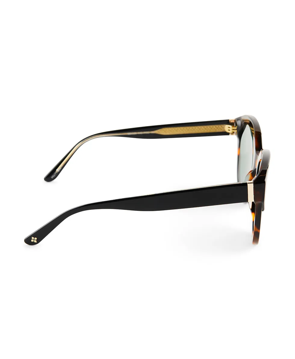 Hutton Sunglasses - Tortoise/Black sold by Patricia Nash product image thumbnail 3