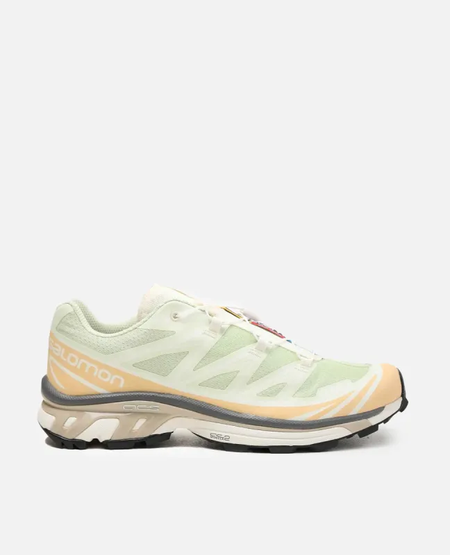 Salomon XT-6 (Aloe Wash/Hazelnut/Feather Gray) sold by Patta