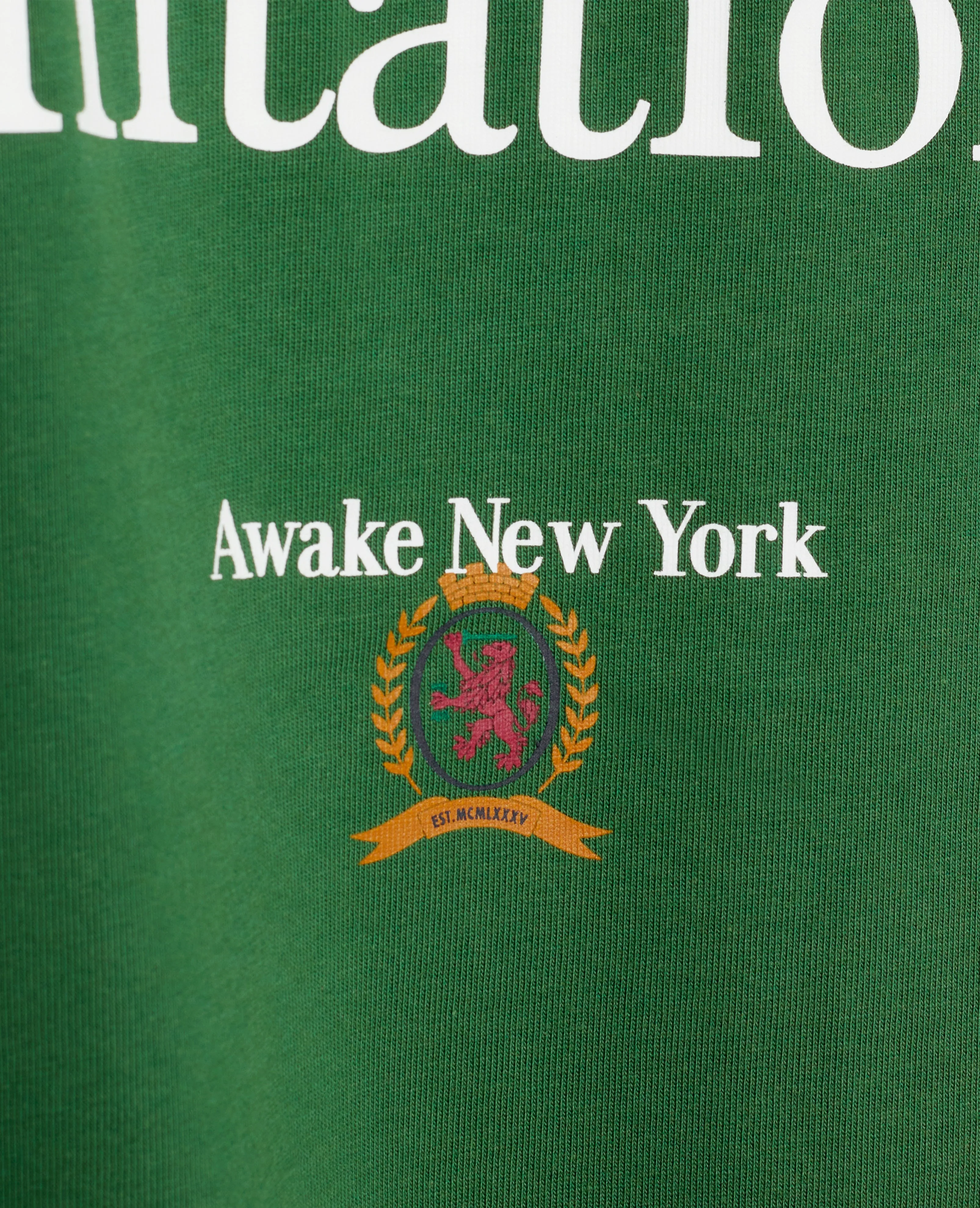 Tommy X Awake Flag T-Shirt (Aviator Green) sold by Patta product image thumbnail 3