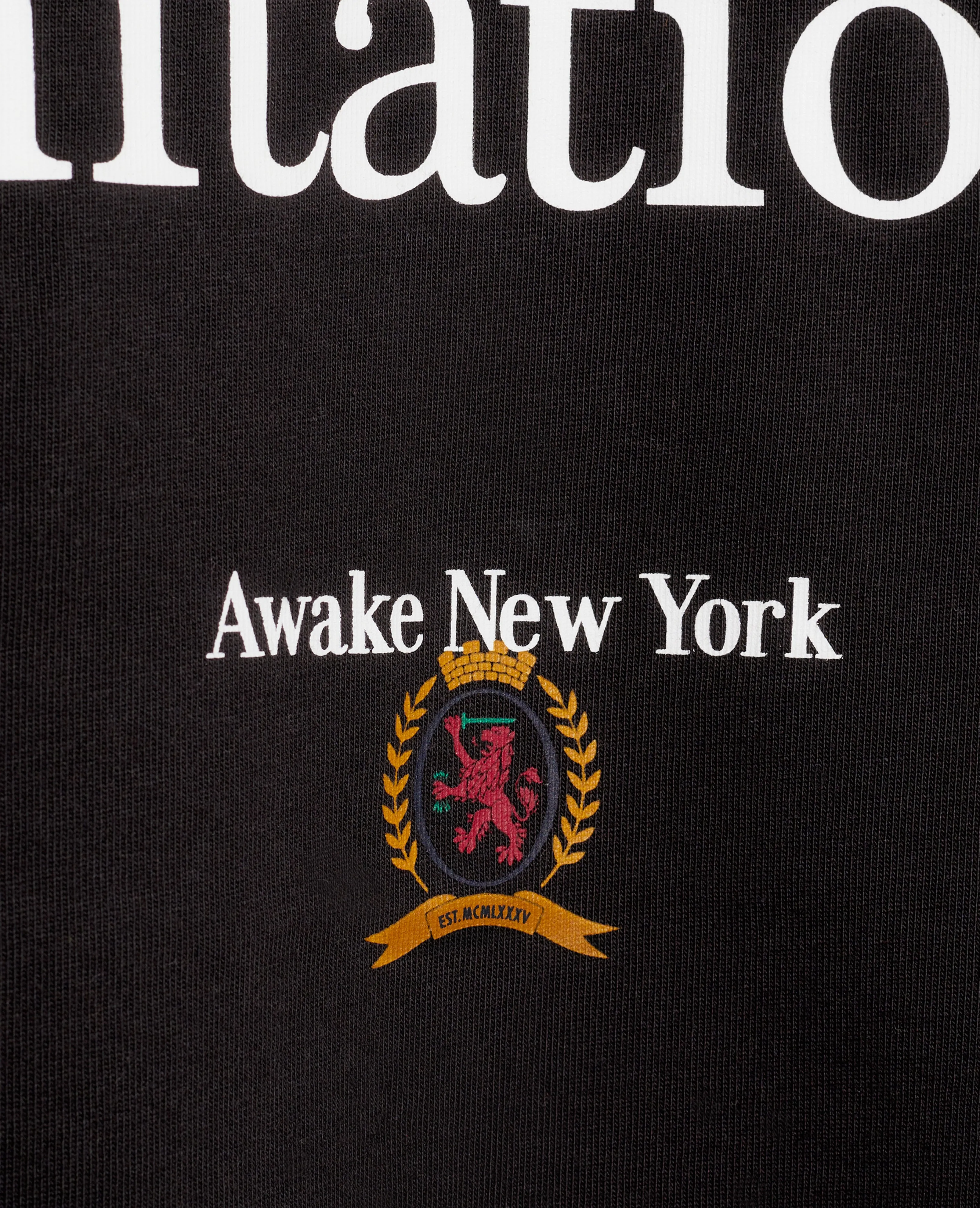 Tommy X Awake Flag T-Shirt (Black) sold by Patta product image thumbnail 3