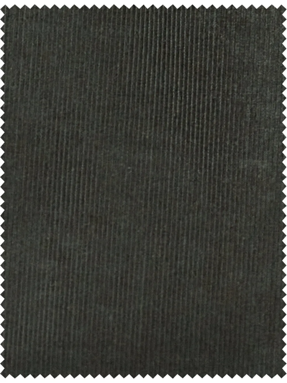 Corduroy Pants - Dark Sage sold by Paul Fredrick product image thumbnail 3