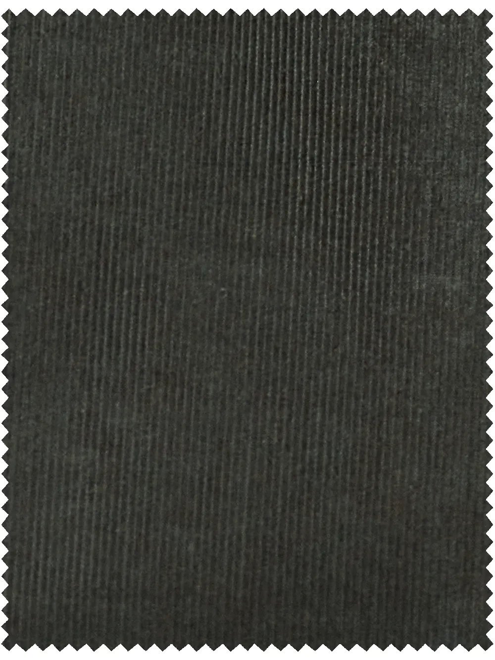 Corduroy Pleated Pants - Dark Sage sold by Paul Fredrick product image thumbnail 3