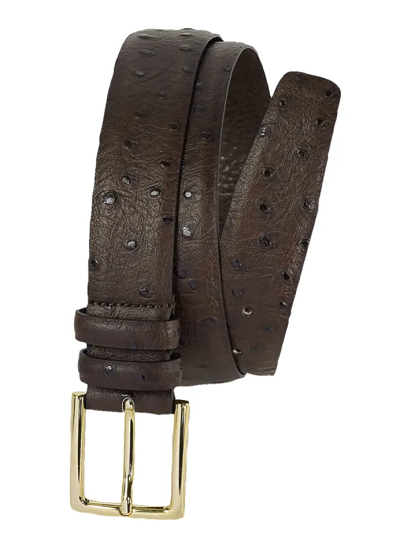 Ostrich Embossed Belt - Brown sold by Paul Fredrick