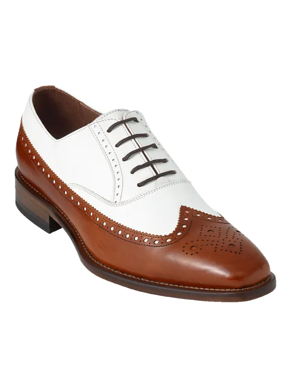 Jackson Oxford - Chestnut/white sold by Paul Fredrick