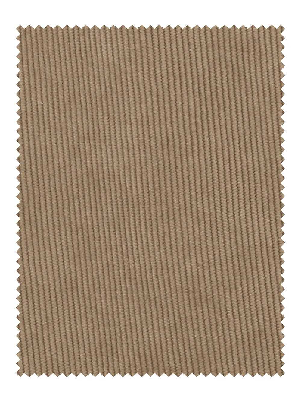 Corduroy Flat Front Pants - Sage sold by Paul Fredrick product image thumbnail 3