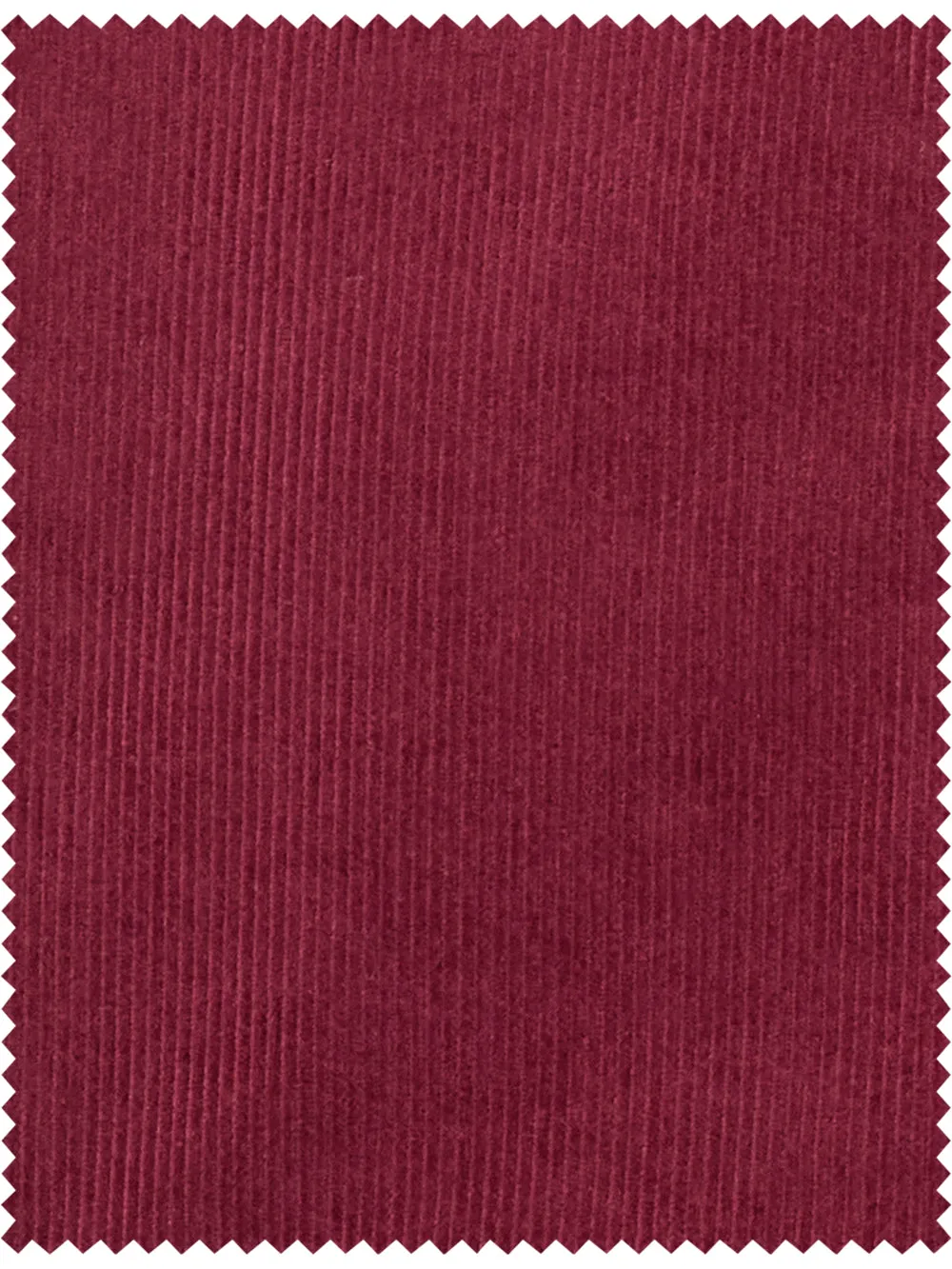 Corduroy Flat Front Pant sold by Paul Fredrick product image thumbnail 3