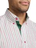 Non-Iron Cotton Stripe Dress Shirt With Contrast Trim - Red/green sold by Paul Fredrick