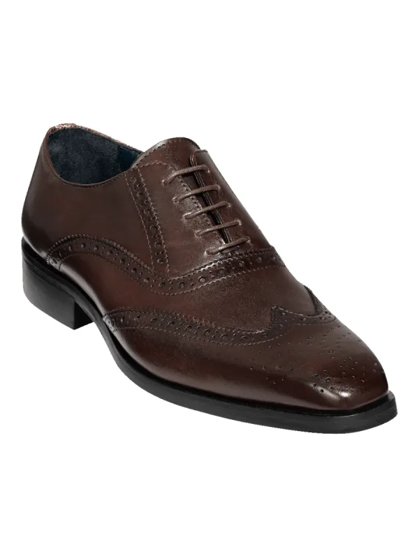 Watson Oxford - Dark Brown sold by Paul Fredrick
