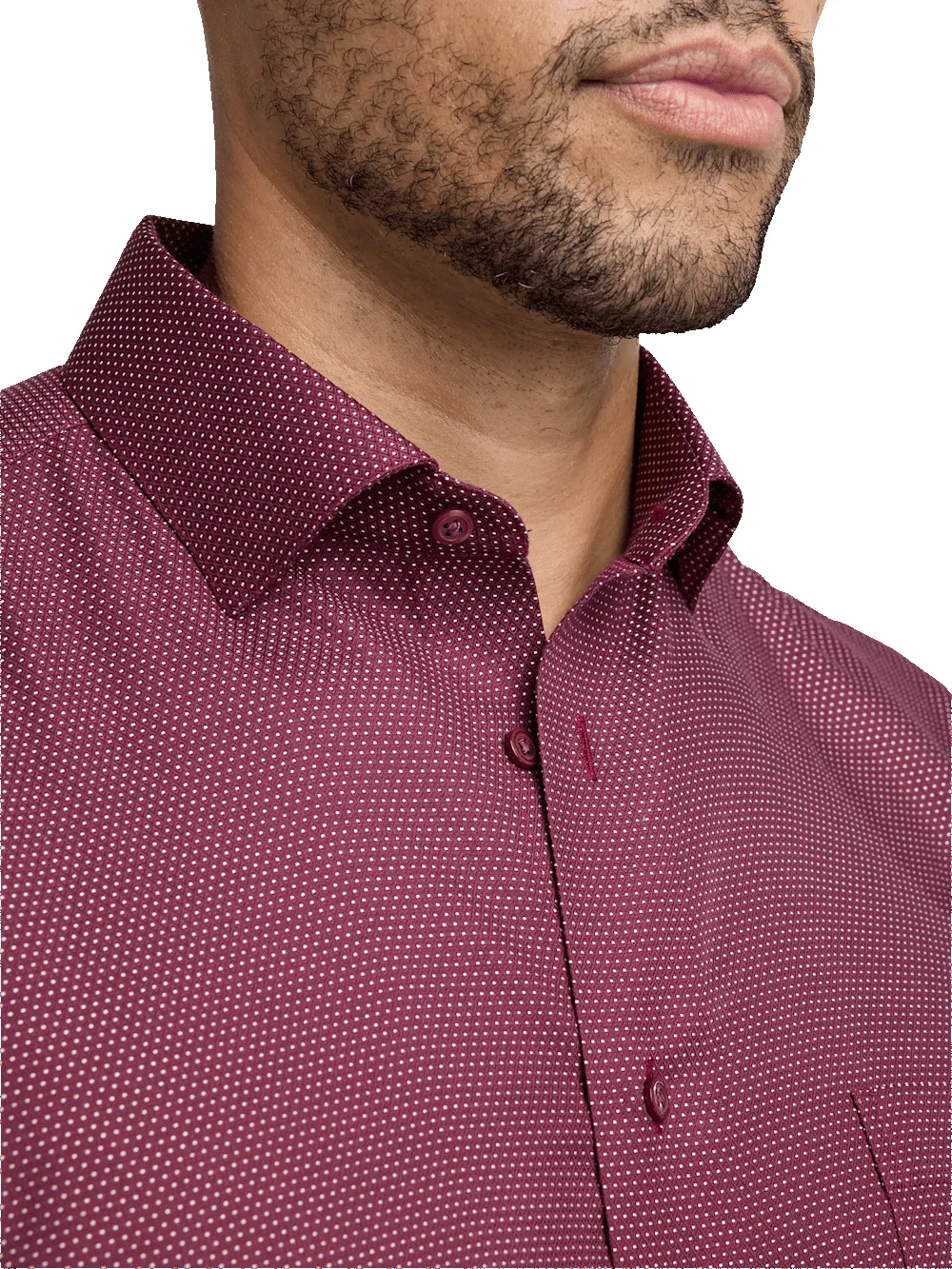 Non-Iron Cotton Dot Dress Shirt - Burgundy sold by Paul Fredrick product image thumbnail 3