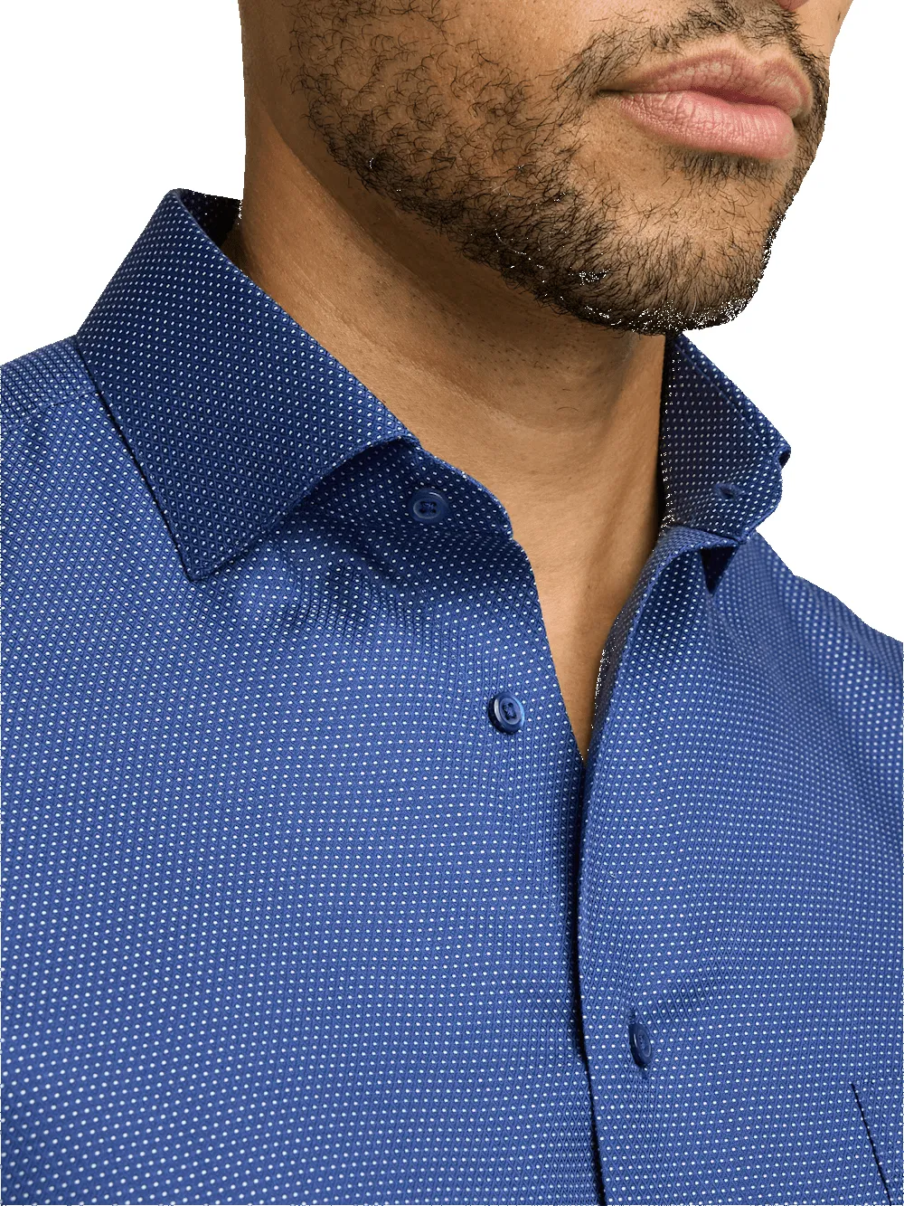 Non-Iron Cotton Dot Dress Shirt - Blue sold by Paul Fredrick product image thumbnail 3