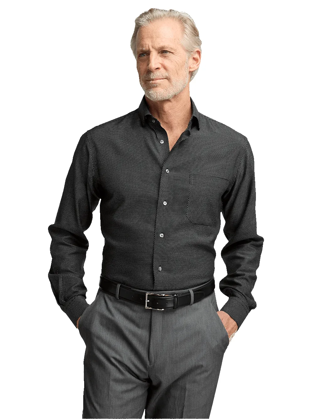 Non-Iron Cotton Dot Dress Shirt - Black sold by Paul Fredrick product image thumbnail 2