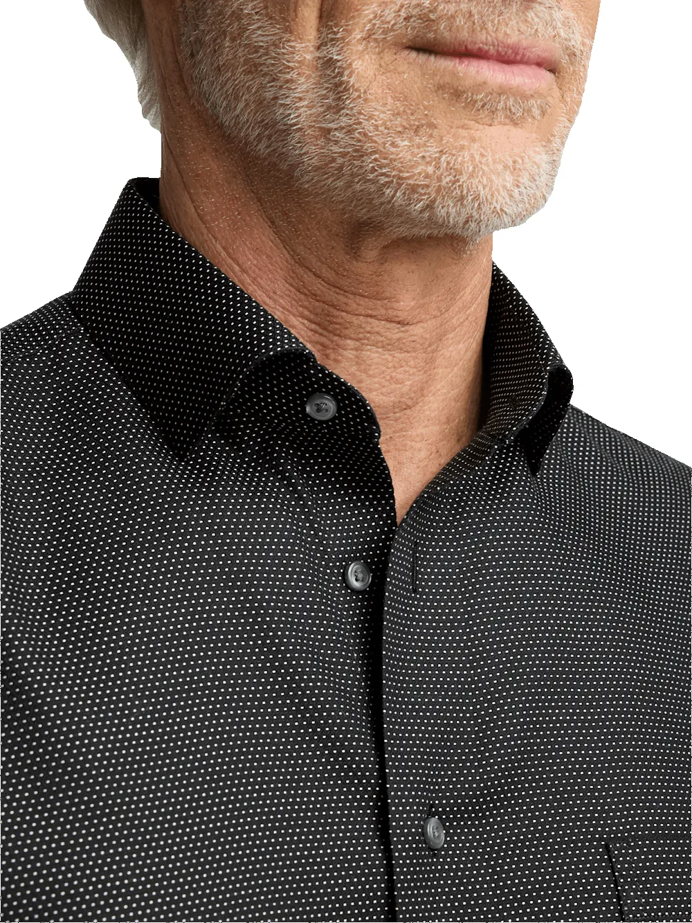 Non-Iron Cotton Dot Dress Shirt - Black sold by Paul Fredrick product image thumbnail 3