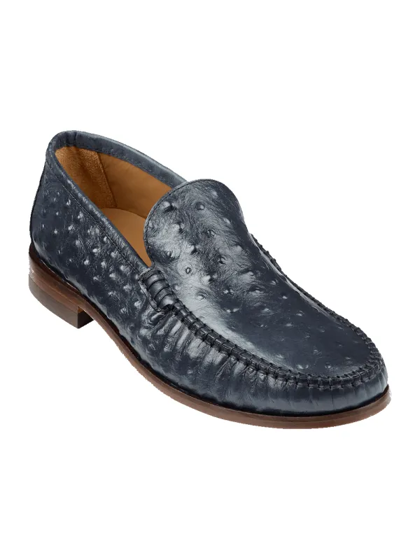 Dexter Loafer - Navy sold by Paul Fredrick