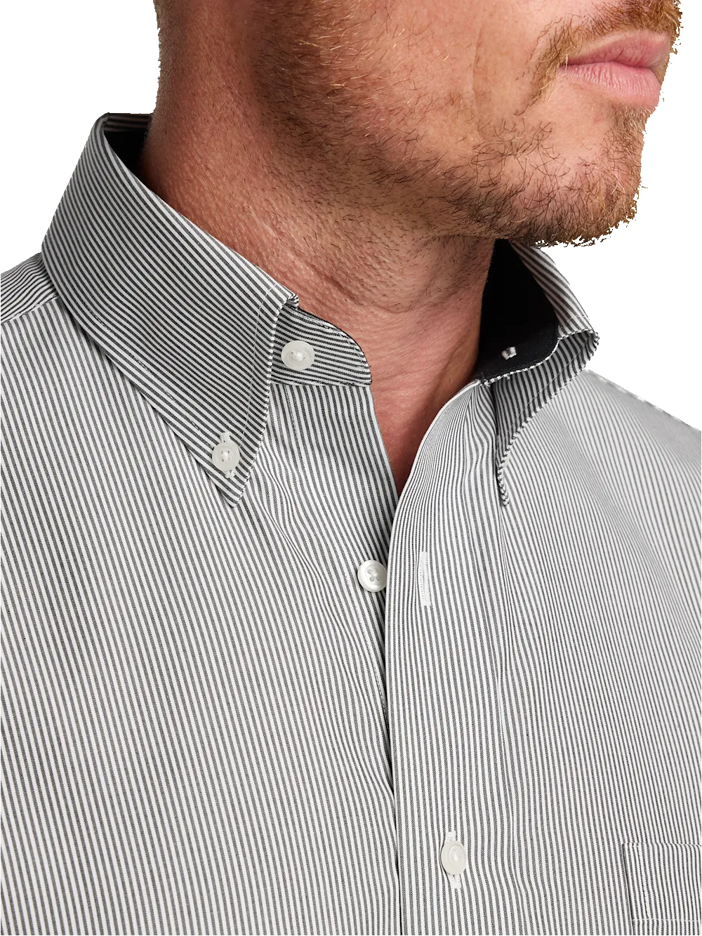 Non-Iron Cotton Stripe Dress Shirt With Contrast Trim - Black sold by Paul Fredrick product image thumbnail 3