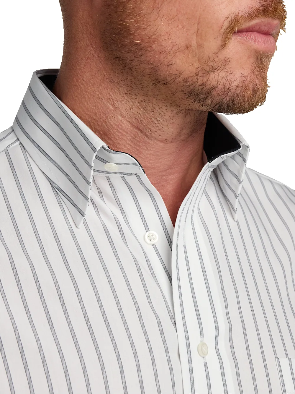 Non-Iron Cotton Stripe Dress Shirt With Contrast Trim - Black sold by Paul Fredrick product image thumbnail 3