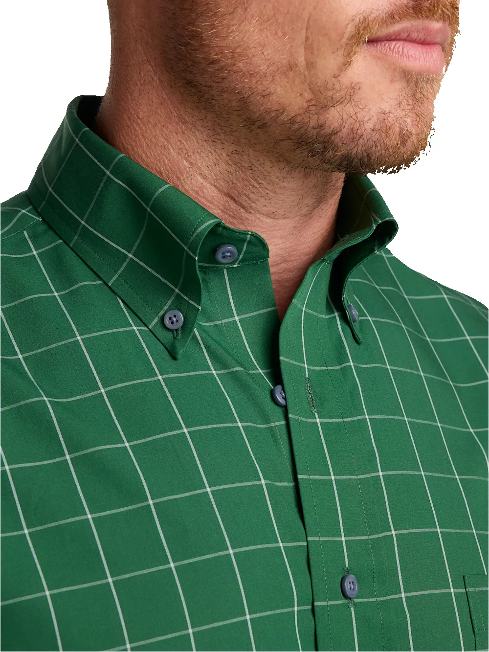 Non-Iron Cotton Windowpane Dress Shirt - Green sold by Paul Fredrick product image thumbnail 3