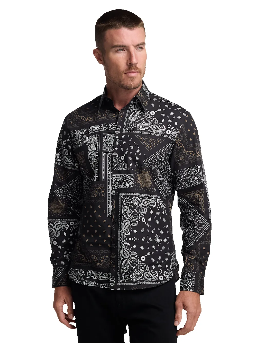 Cotton Paisley Point Collar Casual Shirt - Black/brown sold by Paul Fredrick product image thumbnail 2