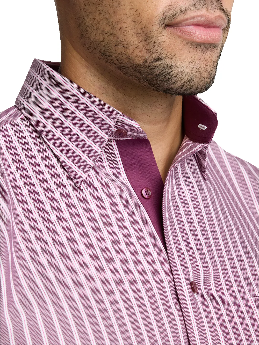 Comfort Stretch Non-Iron Stripe Dress Shirt With Contrast Trim - Burgundy sold by Paul Fredrick product image thumbnail 3