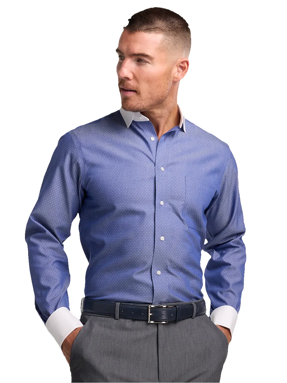 Non-Iron Cotton Dot Dress Shirt - Blue sold by Paul Fredrick product image thumbnail 2