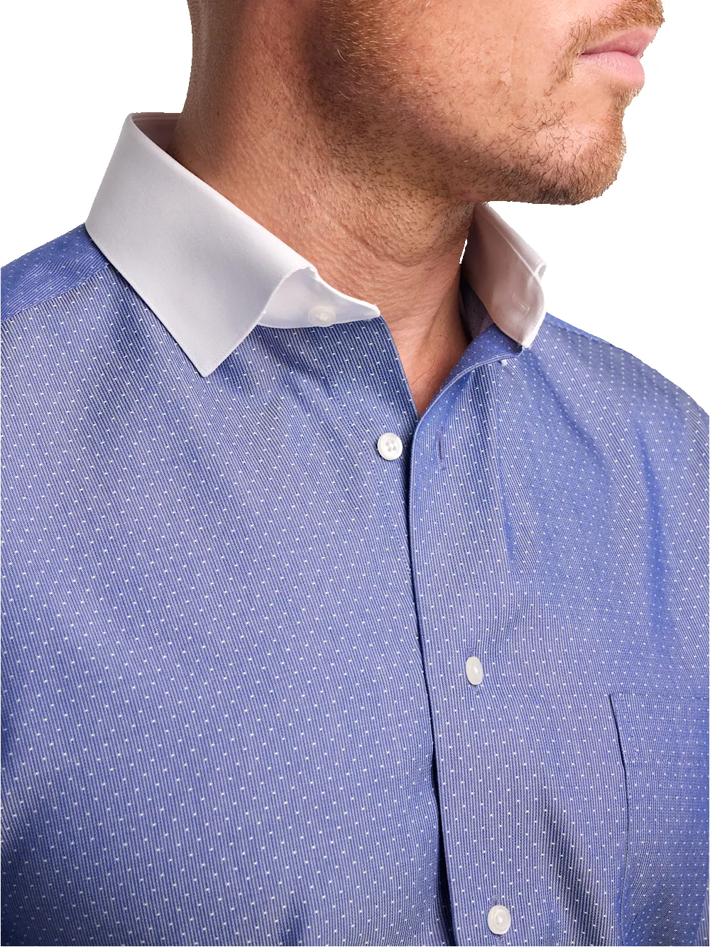 Non-Iron Cotton Dot Dress Shirt - Blue sold by Paul Fredrick product image thumbnail 3