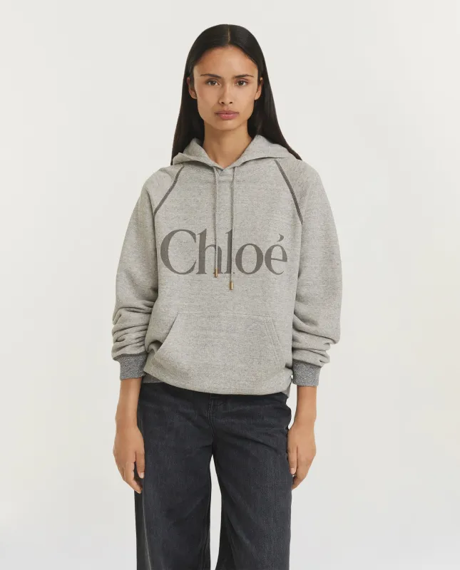 Oversized Logo Hoodie - Lichtgrijs sold by Pauw Amsterdam