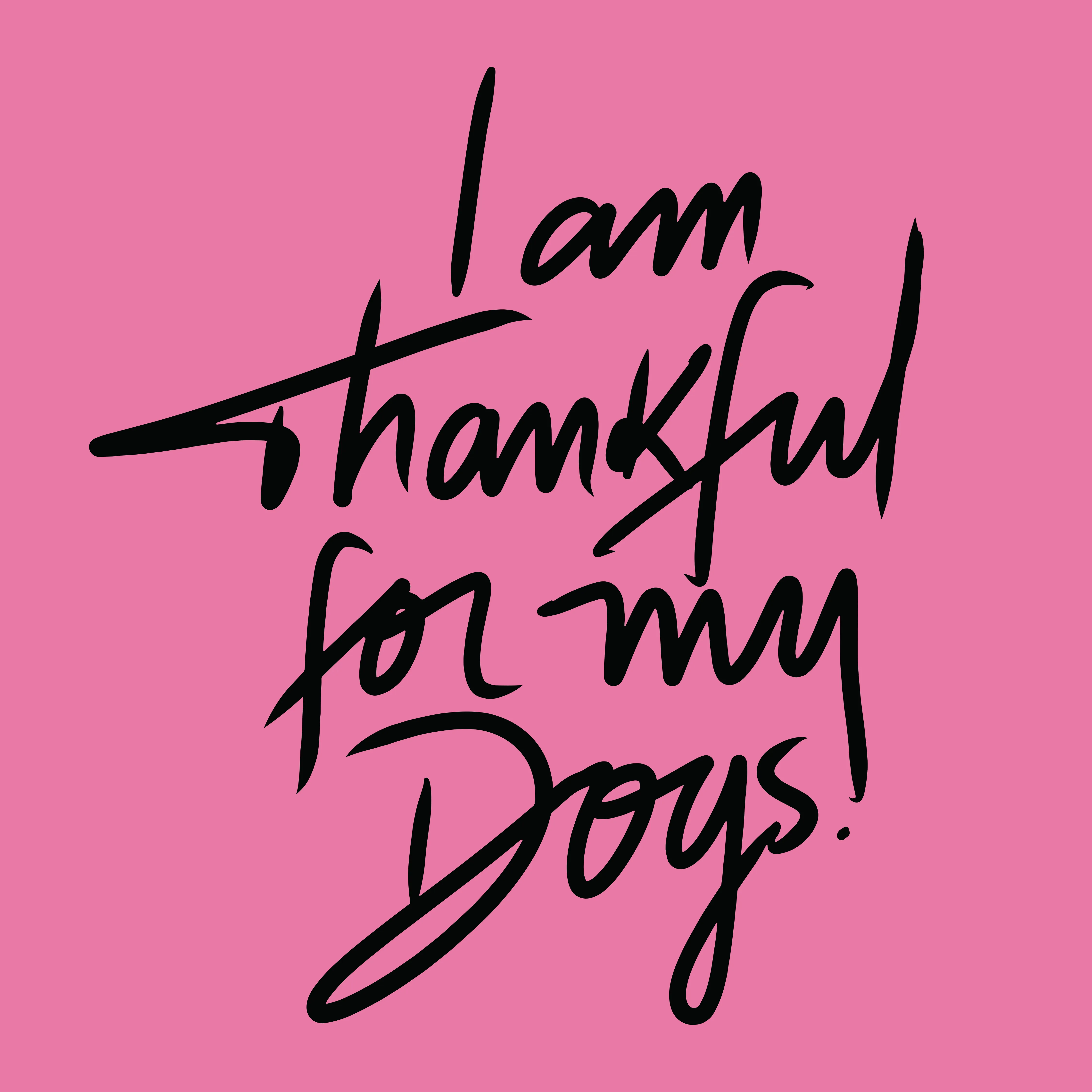 I'm Thankful - Azalea (Adult Short Sleeve T-Shirt) sold by PAWZ product image thumbnail 2