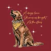 Shine Bright (Adult Hoodie) sold by PAWZ
