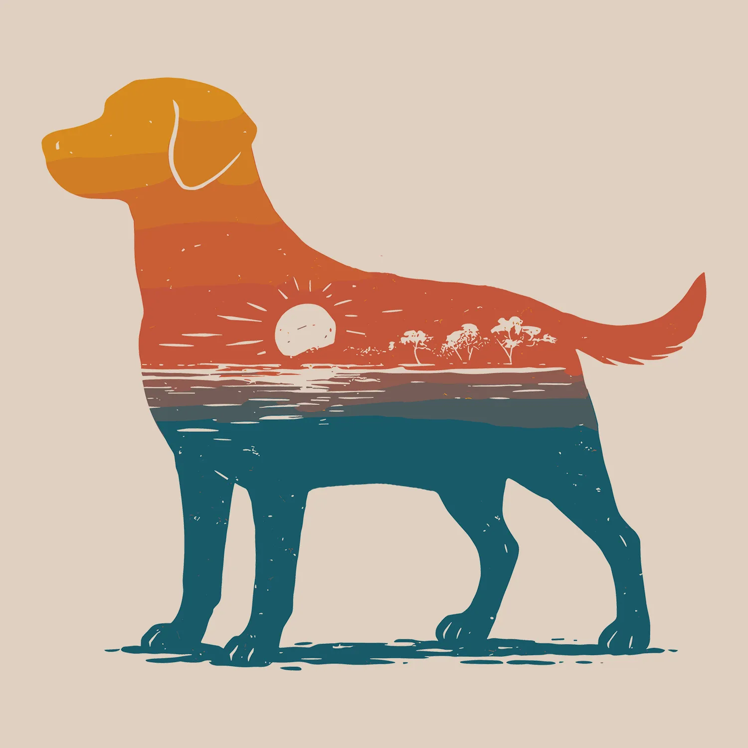 Coastal Canine - orange (Adult Short Sleeve T-Shirt) sold by PAWZ product image thumbnail 3