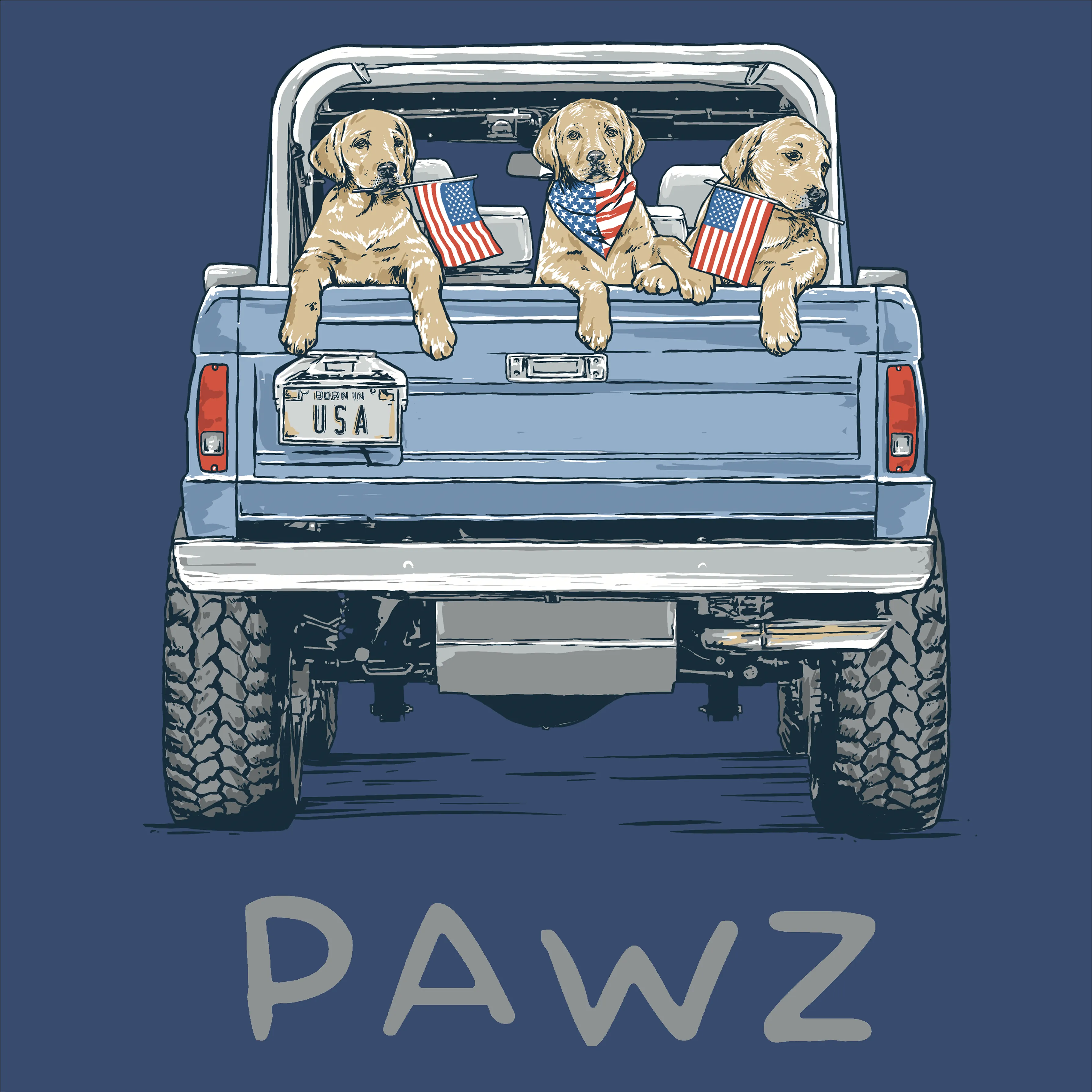 USA Cruiser (Adult Hoodie) Super Sale sold by PAWZ product image thumbnail 3