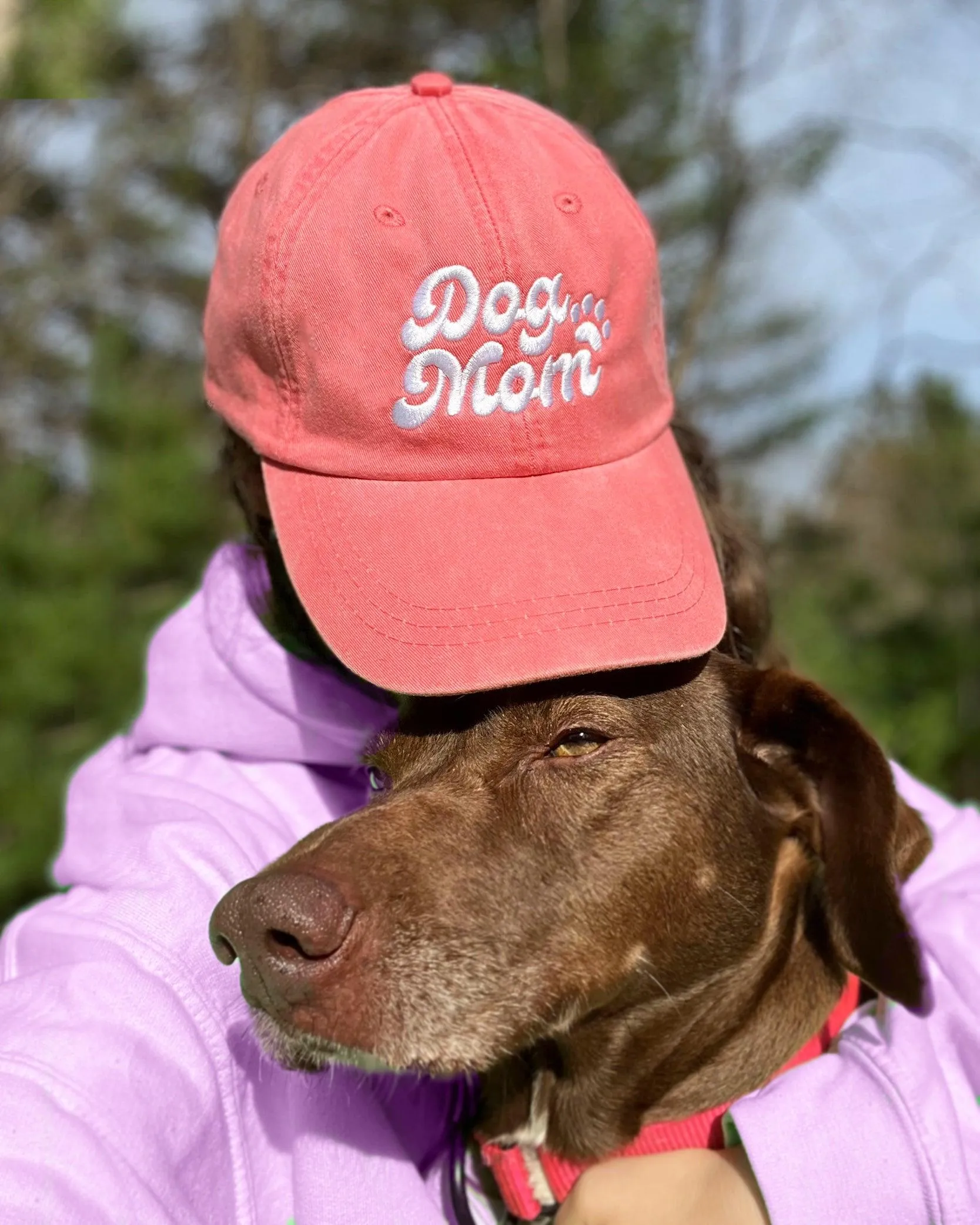 Jelly Dog Mom Hat sold by PAWZ product image thumbnail 3