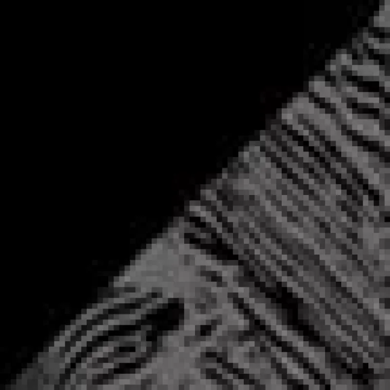 Women's Escape Three Quarter Tight Print made by Pearl Izumi