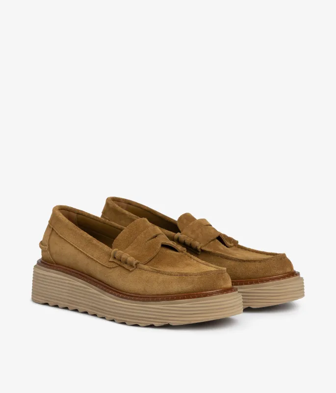 sloan / alpaca castoro-mandorla sold by Pedro Garcia