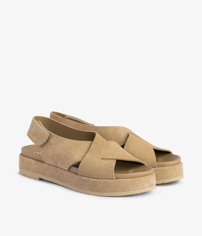 jaile / dijon castoro sold by Pedro Garcia