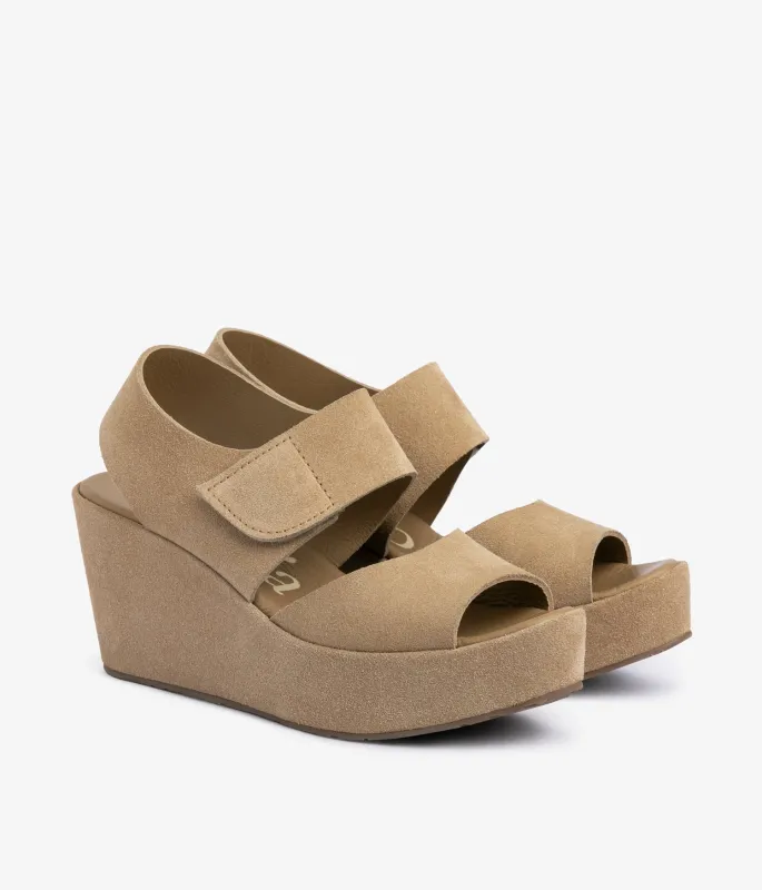 helen / dijon castoro made by Pedro Garcia