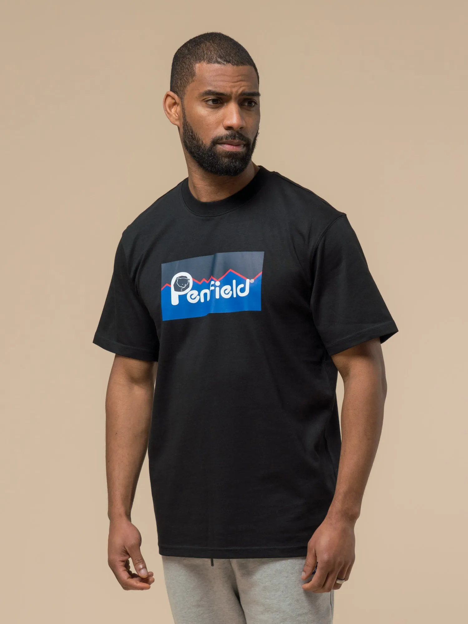 Original Large Logo T-Shirt in Black sold by Penfield product image thumbnail 2